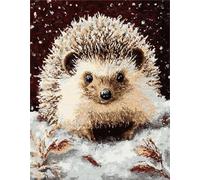 Wallphantom Kit de Tapis de Crochet à Point Noué,Hérisson animal,Coussin au Crochets à Loquet Bricolage,Modèle de couleur pré-imprimé,artisanat créatif Cadeaux,55x75cm