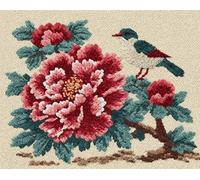 Wallphantom Kit de Tapis Point Noué,Pivoine et oiseau,Crochet à Loquet pour Bricolage,Décoration d'Intérieur,Fabrication de Coussin,Kit à la Main,80x160cm