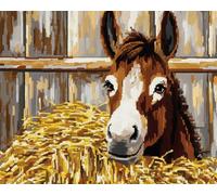 Wallphantom Kits de Crochet de Loquet,âne, animal de la ferme,Point de Croix,Kit Tapis Point Noué à Faire,Latch Hook Kit de Tapisserie pour Adultes,Débutants,55x75cm