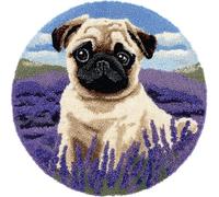 Wallphantom Latch Hook Rug Kits for Adults Kids Beginners,Un carlin dans un champ de lavande,Printed Crochet Non-Slip Mat,Rug Crochet Yarn Kit for Home Sofa Decoration,50x50cm