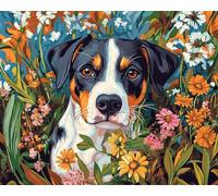 Wallphantom Paint by Numbers Kit Peinture Numero pour Adultes,Chien de compagnie dans les fleurs sauvages,Activité Manuelle Kit de Loisir Créatif DIY Numéro d'Art Complet,40x50cm avec cadre