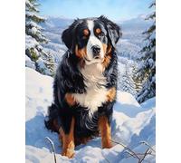 Wallphantom Peinture Numero Adulte,Scène de neige avec un bouvier bernois,Kits de Peinture au Numéro avec Peinture Acrylique et 3 Pinceaux,DIY Peinture par Adultes,40x50cm sans Cadre