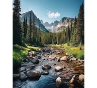 Wallphantom Peinture par Numéro Adulte,Paysage du parc forestier naturel,Kit de peinture à l'huile sur toile,Activité Manuelle Kit de Loisir Créatif DIY Numéro d'Art,40x50cm sans Cadre