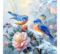 Wallphantom Point de Croix Kit Complet Estampé,Oiseaux bleus,fleurs,Gamme Complète de kits de Démarrage de Broderie pour Débutants DIY canevas broderie,40x40cm