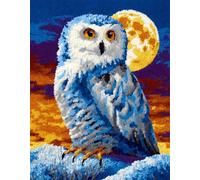 Wallphantom vue nocturne Kit Tricot Debutant Tapis Kit De Bricolage,Chouette blanche au clair de lune,Pour Adultes Bricolage Artisanat Loquet Crochet Tapis Ensemble Tapisserie,52x38cm