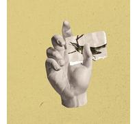 Walls,Fragments