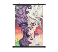 Wallscroll Grand tableau enroulable Dr. Stone Kakemono 60 x 90 cm | Poster en tissu Anime Manga | Décoration murale cadeau | Motif : Senku