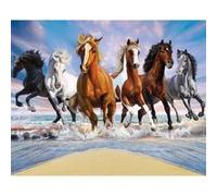 WALLTASTIC Papier peint mural Walltastic Chevaux Sauvages 305X244 CM Multicolors G