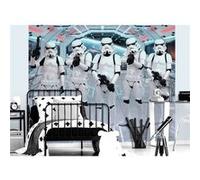 WALLTASTIC Papier peint Walltastic 5 Stormtroopers avec armes - Star Wars - 305x244cm Multicolors G