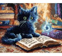 WallustrioaW Kit Tapis à Crochet à Loquet Adultes,Des animaux,un chat noir et des livres magiques,Kit Tapis Crochet,Latch Hook Rug,Carpet Making Crafts DIY Craft Gifts,55x75cm