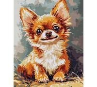 WallustrioaW Kits de Point de Croix,Chien,berger allemand souriant,DIY Kit de Broderie 11CT Estampé pour Adultes Débutant Enfants Maison Décoration,40x50cm