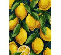 WallustrioaW Latch Hook Rug Kits,Citron aux fruits,DIY Rug Making Kits for Adults Kids Beginners Carpet Doormat Creative Gift Home Decoration,60x90cm