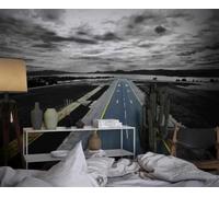 WallustrioaW Papel Pintado 3D Personnalisé Paysage Céleste D'Arp Papier Peint Mural Photo,Sans Couture,Facile À Installer,Décoration Maison Pour Propriétaires Français-312X219Cm