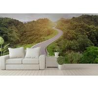 WallustrioaW Papel Pintado 3D Personnalisé Paysage De La Route Forestière Papier Peint Mural Photo,Sans Couture,Facile À Installer,Décoration Maison Pour Propriétaires Français-100X100Cm