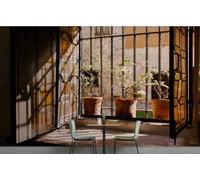 WallustrioaW Papel Pintado 3D Personnalisé Paysage De Plantes En Pot Ensoleillées Papier Peint Mural Photo,Sans Couture,Facile À Installer,Décoration Maison Pour Propriétaires Français-312X219Cm