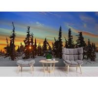WallustrioaW Papel Pintado 3D Personnalisé Paysage D'Hiver De La Forêt Céleste Papier Peint Mural Photo,Sans Couture,Facile À Installer,Décoration Maison Pour Propriétaires Français-100X100Cm