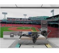 WallustrioaW Papel Pintado 3D Personnalisé Stade Papier Peint Mural Photo,Sans Couture,Facile À Installer,Décoration Maison Pour Propriétaires Français-312X219Cm