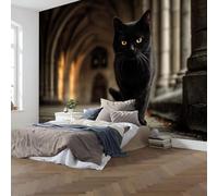 WallustrioaW Papier Peint Mural Sur Mesure,3D Chat Noir Du Couloir Papier Peint Photo,430 X 300Cm Grand Format-Décoration Murale Pour Salon,Chambre,Bureau Ou Toute Autre Pièce