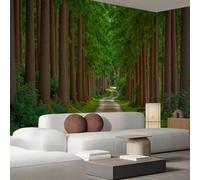 WallustrioaW Papier Peint Mural Sur Mesure,3D Chemin De Pins Au Paysage Naturel Papier Peint Photo,300 X 210Cm Grand Format-Décoration Murale Pour Salon,Chambre,Bureau Ou Toute Autre Pièce