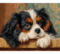 WallustrioaW Tapis Point Noué À Faire,Chien animal,Charles Spaniel,Kits De Fabrication De Tapis À Faire Soi-Même Pour Débutants Et Adultes,Décoration De La Maison,52x38cm