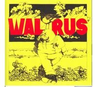 Walrus