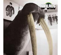Walrus - Walrus