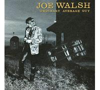 WALSH,JOE - ORDINARY AVERAGE GUY (LIMITED)