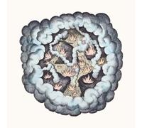 Walsh, Tw - Songs of Pain and Leisure [Import]