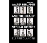 Walter Benjamin and the Idea of Natural History by Eli Friedlander Eli Friedlander (Auteur)