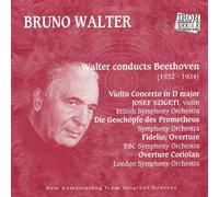 Walter, Bruno - Bruno Walter in Europa