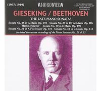 Walter Gieseking - Walter Gieseking