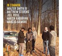 WALTER III/STEVENS,MATTHEW SMITH - IN COMMON-DELUXE EDITION VINYL LP + MP3 NEUF