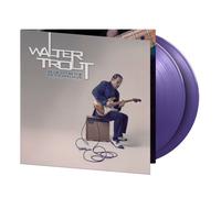 WALTER TROUT - BLUES FOR THE MODERN DAZE - Vinyl Record lp - G4z