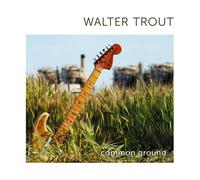 Walter Trout – Common Ground – Vinyle – Édition anniversaire limitée (15e) Vert translucide