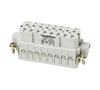 walther Walther Werke Douille de sertissage A16 0,5-2,5 mm² 20-14 AWG 700116 Quantité:1