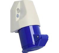 Walther Werke 110306 110306 Prise murale femelle CEE 16 A 3 pôles 230 V 1 pc(s)