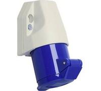 Walther-Werke Prise murale femelle CEE 16 A 3 pôles 230 V 6h IP44 110306