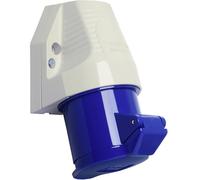 Walther Werke 130306 130306 Prise murale femelle CEE 32 A 3 pôles 230 V 1 pc(s)