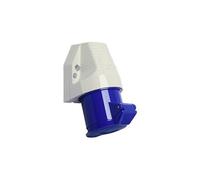 Walther-Werke Prise murale femelle CEE 130306 32 A 3 pôles 230 V G