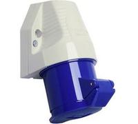 Walther Werke 130306 130306 Prise murale femelle CEE 32 A 3 pôles 230 V G