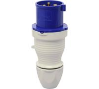 Walther Werke 230306 230306 Mâle CEE 32 A 3 pôles 230 V 1 pc(s)