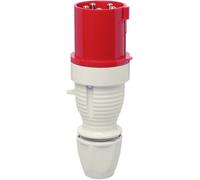 Walther Werke 262 262 Mâle CEE 63 A 5 pôles 400 V 1 pc(s)