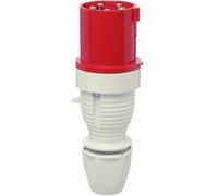 Walther Werke 262 262 Mâle CEE 63 A 5 pôles 400 V 1 pc(s)