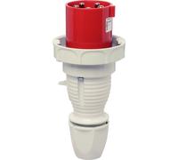 Walther Werke 268 Mâle CEE 63 A 5 pôles 400 V 1 pc(s)