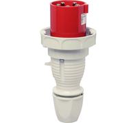 Walther Werke 268 Mâle CEE 63 A 5 pôles 400 V 1 pc(s)