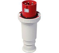 Walther Werke 279 279 Mâle CEE 125 A 5 pôles 400 V 1 pc(s)