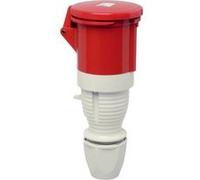 Walther-Werke Prise CEE femelle 362 362 – 63 A 5 pôles 400 V 1 pièce