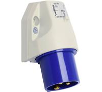 Walther Werke 610306 610306 Prise murale mâle CEE 16 A 3 pôles 230 V 1 pc(s)