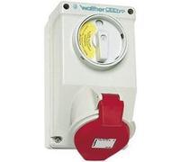 Walther-Werke Prise murale femelle CEE AT130 32 A 5 pôles 400 V 1 pc