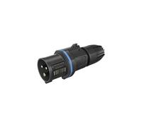 Walther Werke FW211306CC FW211306CC Mâle CEE 16 A 3 pôles 250 V